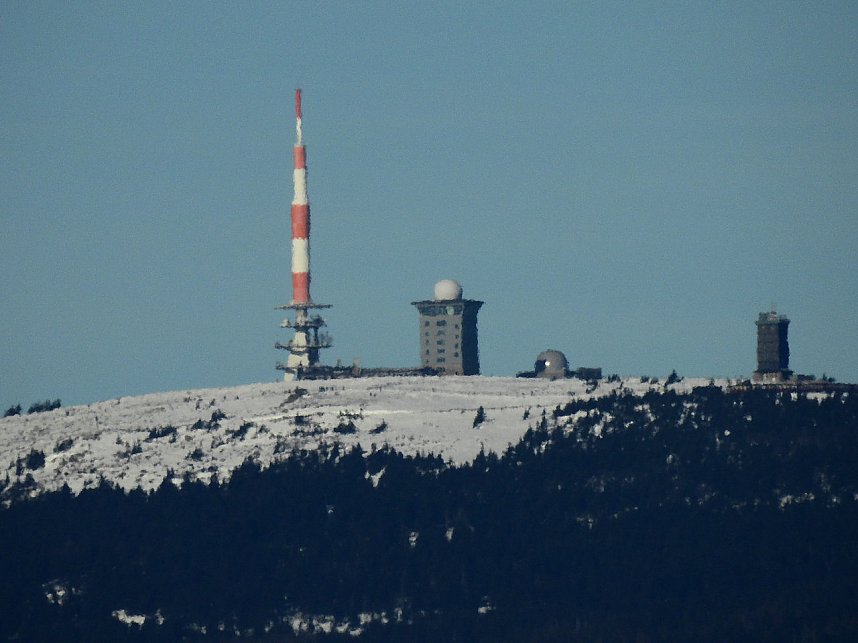 Schlittenhunderennen in Benneckenstein