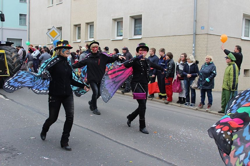 N&auml;rrinnen und Narren ziehen durch die Stadt (2)