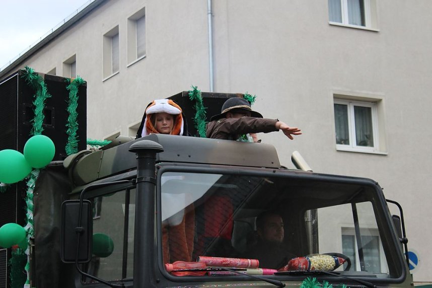 N&auml;rrinnen und Narren ziehen durch die Stadt (2)