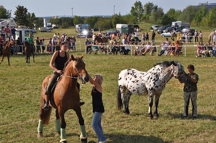 Kampf der Giganten Sundhausen