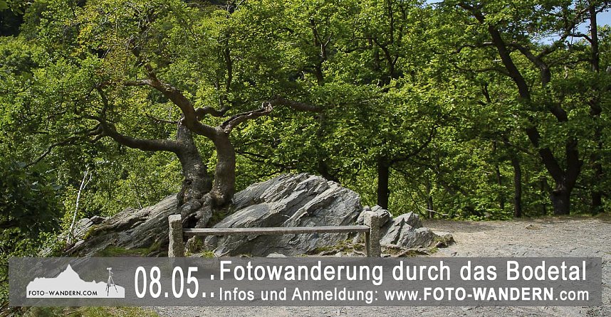 Mit dem Fotoapparat unterwegs