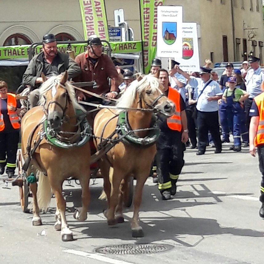 Umzug Sachsen-Anhalt-Tag 