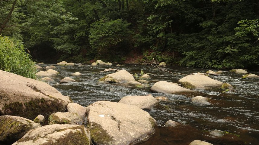 Sonntagswanderung bei Thale