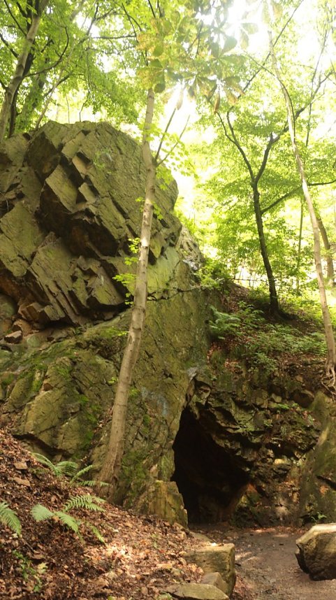 Sonntagswanderung bei Thale