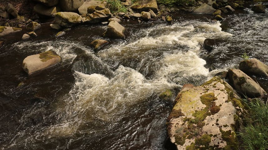 Sonntagswanderung bei Thale