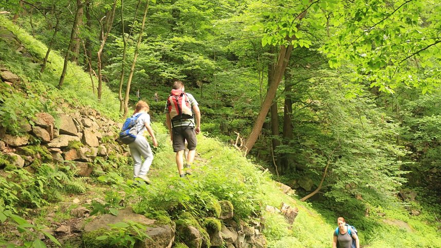 Sonntagswanderung bei Thale