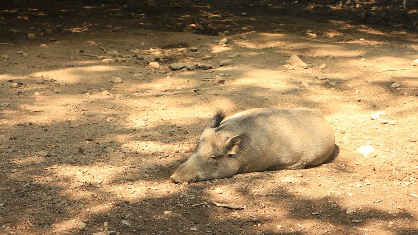 Sonntagswanderung bei Thale