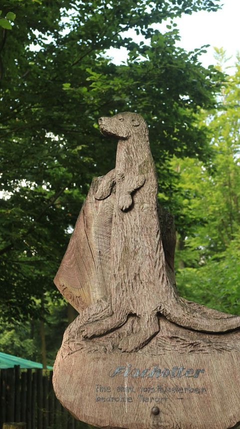 Sonntagswanderung bei Thale