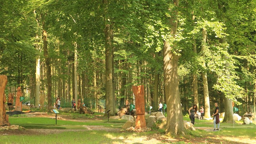 Sonntagswanderung bei Thale