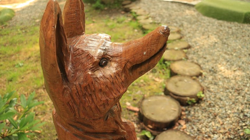 Sonntagswanderung bei Thale