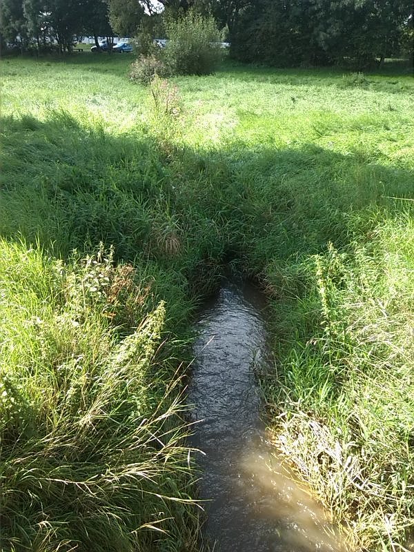 Helme, Zorge und Thyra besser sch&uuml;tzen