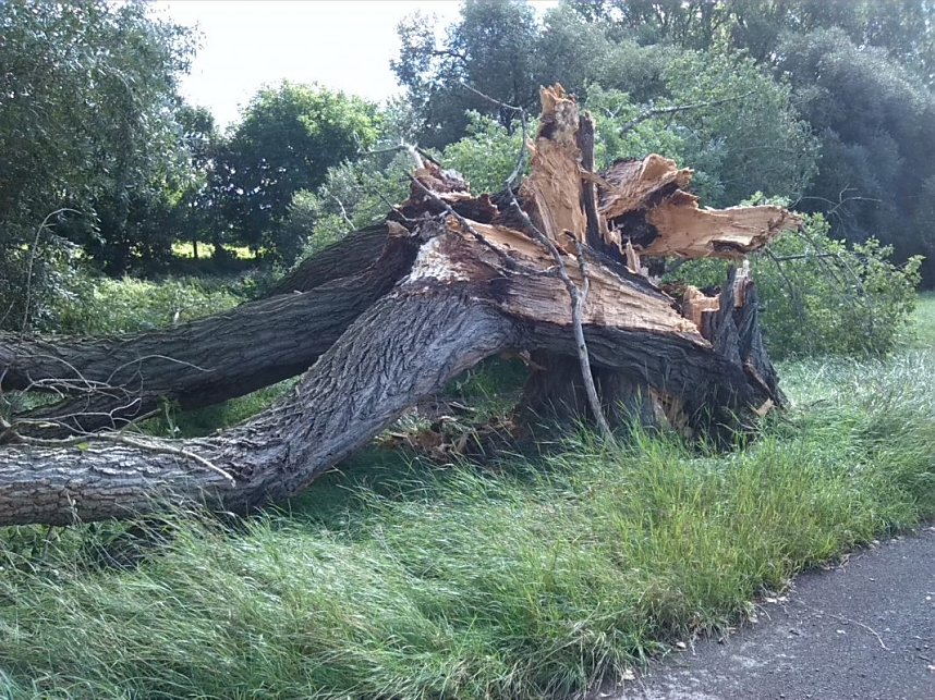 Helme, Zorge und Thyra besser sch&uuml;tzen