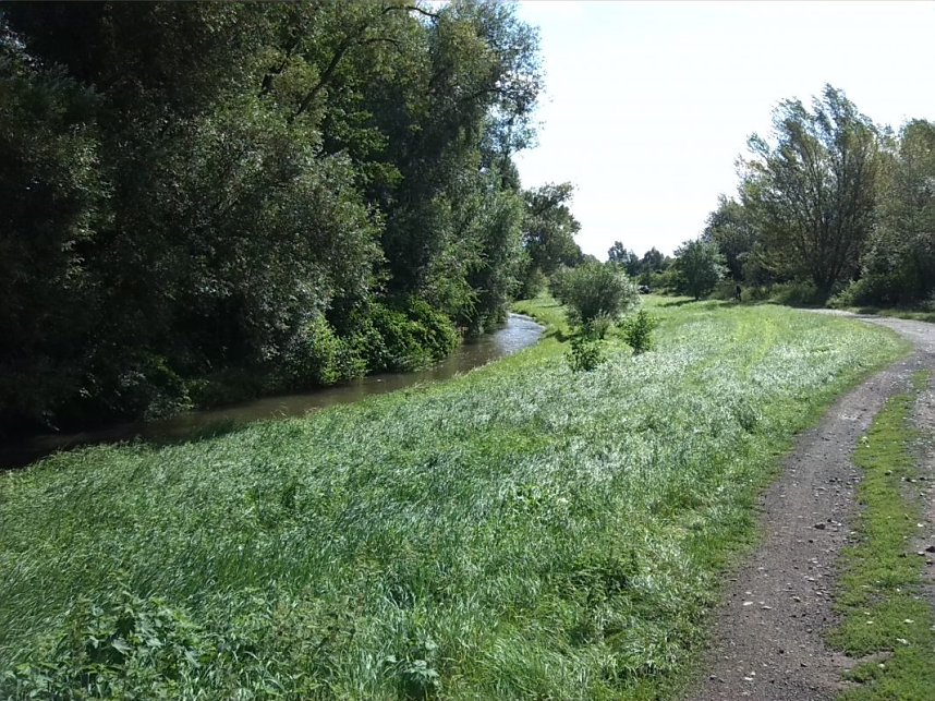 Helme, Zorge und Thyra besser sch&uuml;tzen
