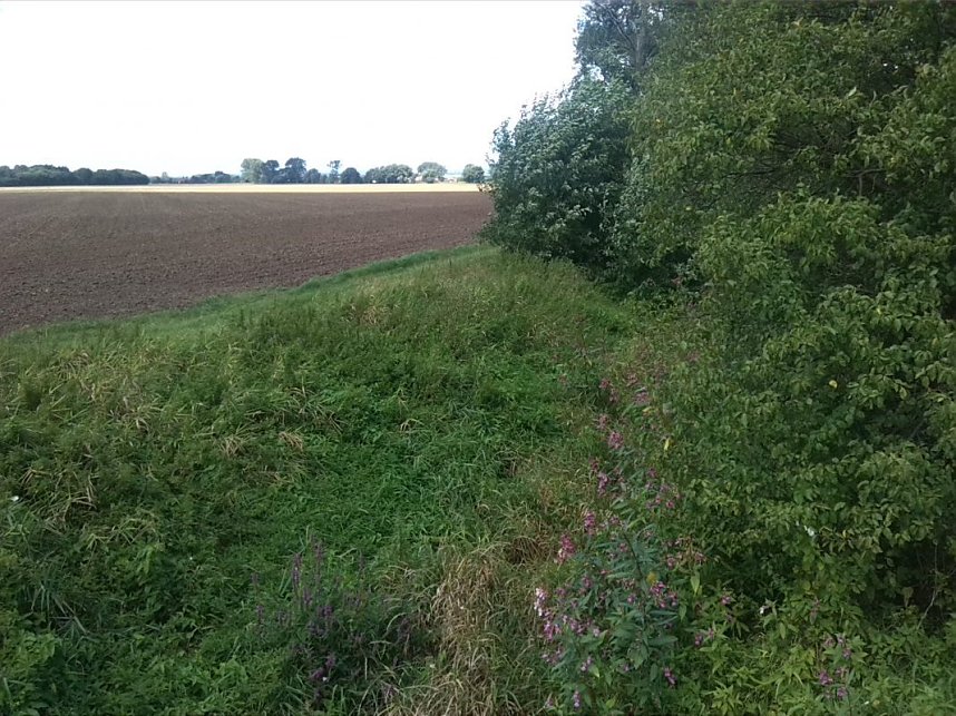 Helme, Zorge und Thyra besser sch&uuml;tzen