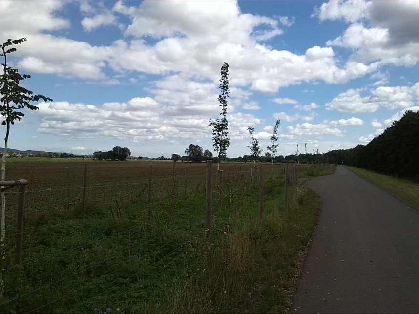 Helme, Zorge und Thyra besser sch&uuml;tzen