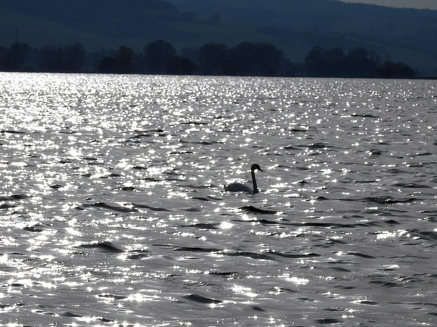 Sommerabend am Stausee Kelbra