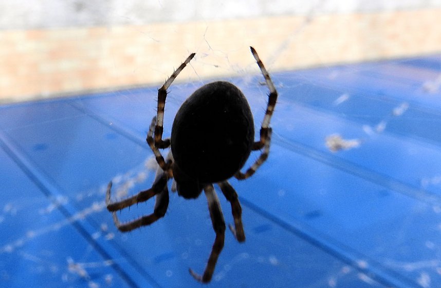 Sommerabend am Stausee Kelbra
