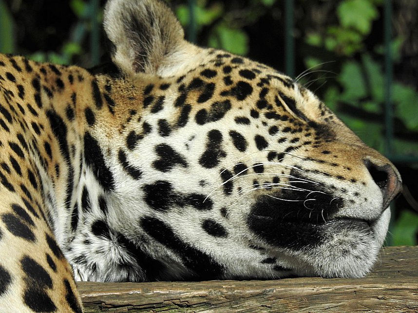 Zu Gast im Tierpark Dessau