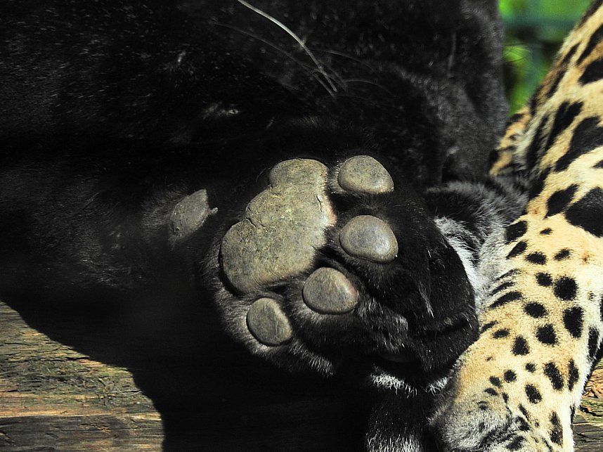 Zu Gast im Tierpark Dessau