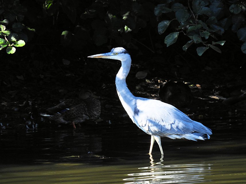Zu Gast im Tierpark Dessau