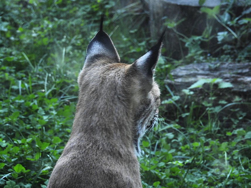 Zu Gast im Tierpark Dessau