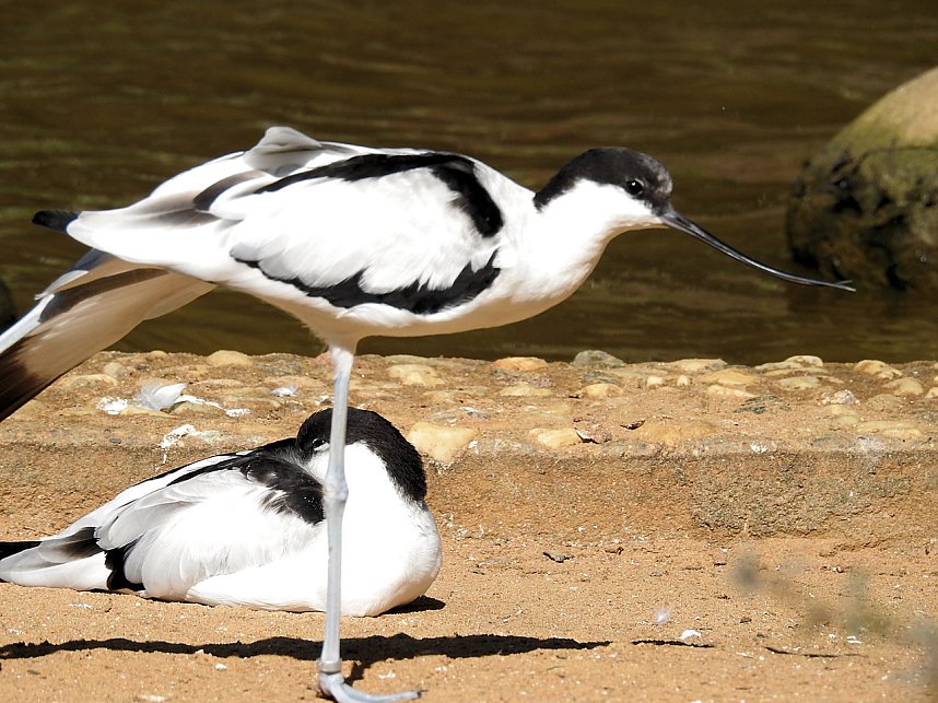 Zu Gast im Tierpark Dessau