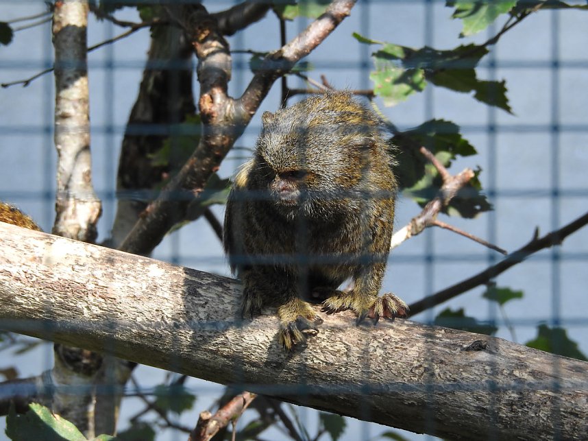 Zu Gast im Tierpark Dessau