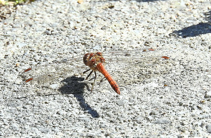 Zu Gast im Tierpark Dessau
