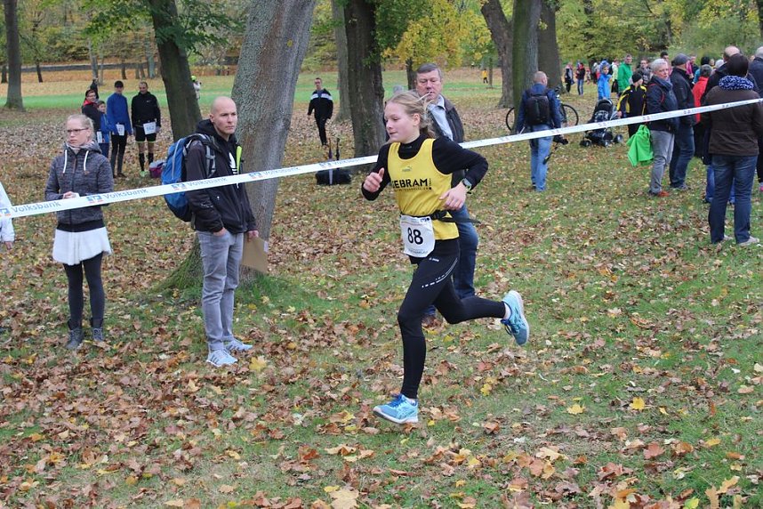 24. Stadtparklauf in Sondershausen (1)