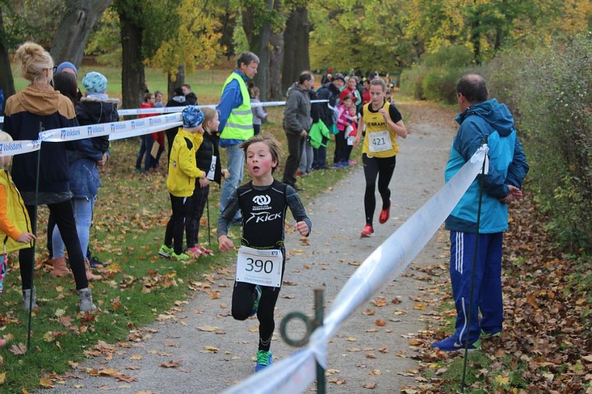 24. Stadtparklauf in Sondershausen (1)