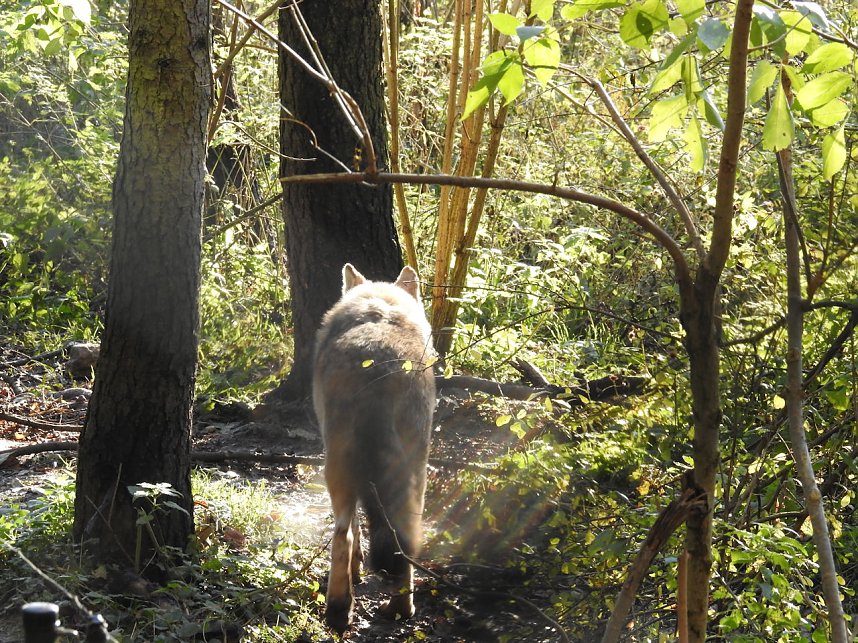 Peter Blei im B&auml;renpark Worbis