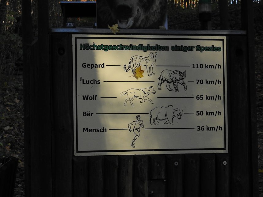 Peter Blei im B&auml;renpark Worbis