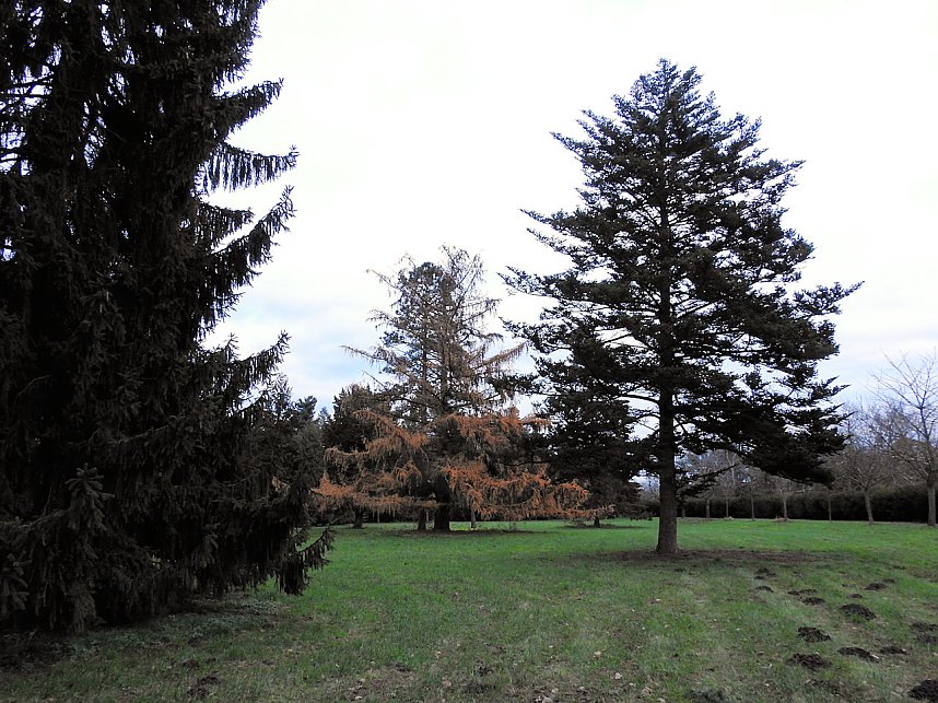 Abstecher in den W&ouml;rlitzer Park