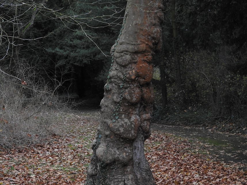 Abstecher in den W&ouml;rlitzer Park