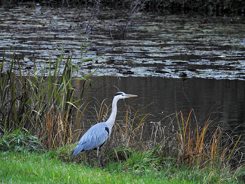 Abstecher in den W&ouml;rlitzer Park