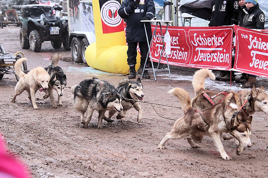 Schlittenhunderennen in Pullmann City II