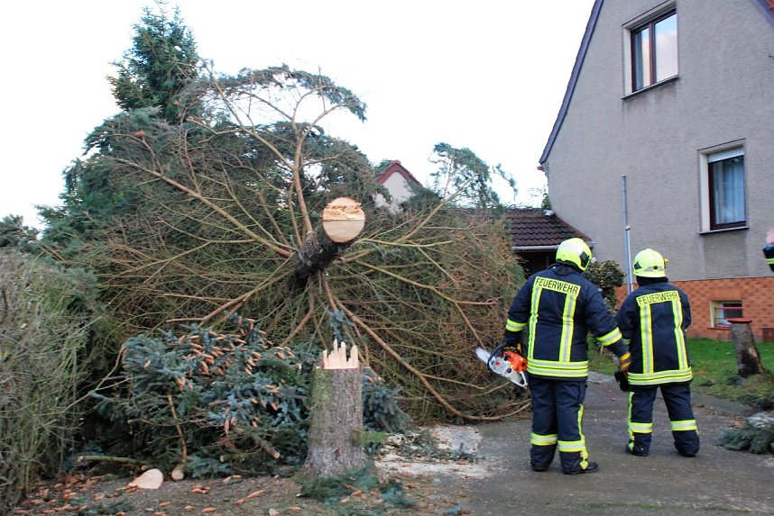 Nun ist er keine Gefahr mehr