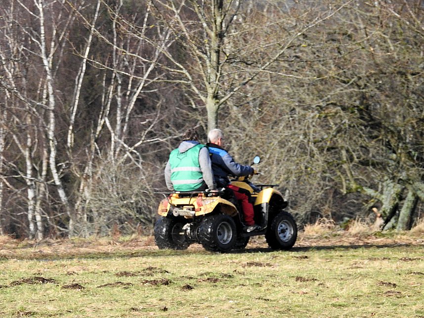 Schlittenhunde rennen rund um Benneckenstein