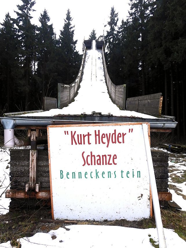 Schlittenhunde rennen rund um Benneckenstein