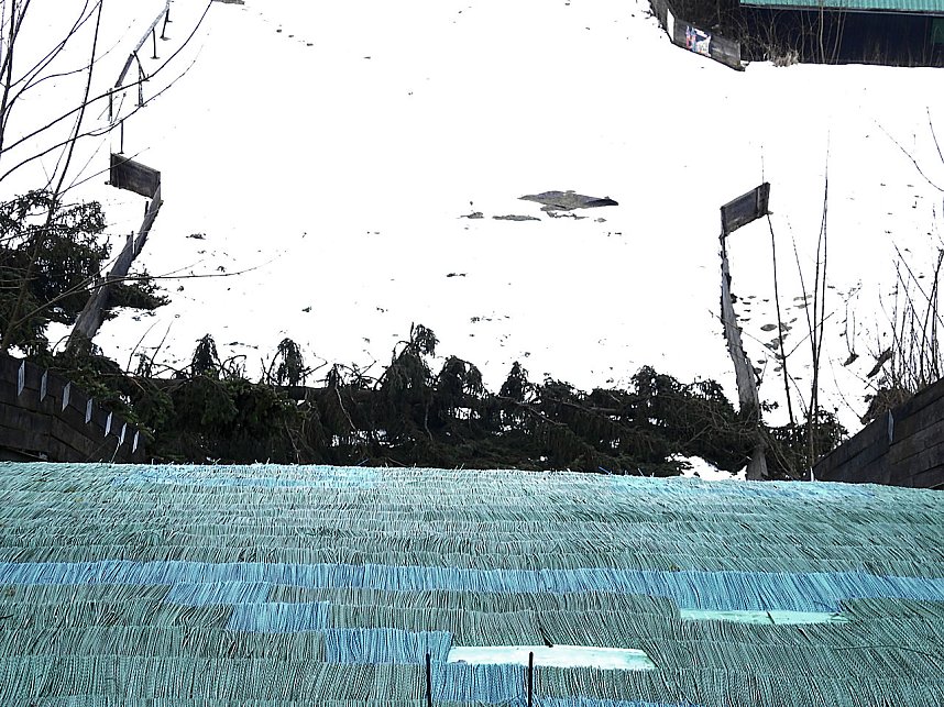 Schlittenhunde rennen rund um Benneckenstein