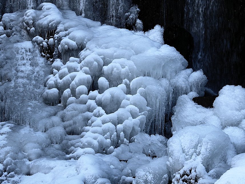 Peter Blei unterwegs im Harz