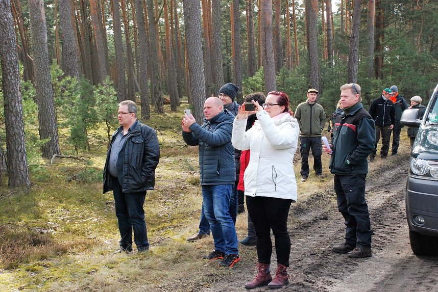  Erinnerungsfoto von einem spektakulren Ereignis - der Aufarbeitung des Windbruchs mit hochmoderner Technik