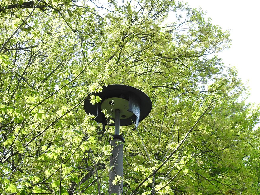 Peter Blei unterwegs in Ballenstedt