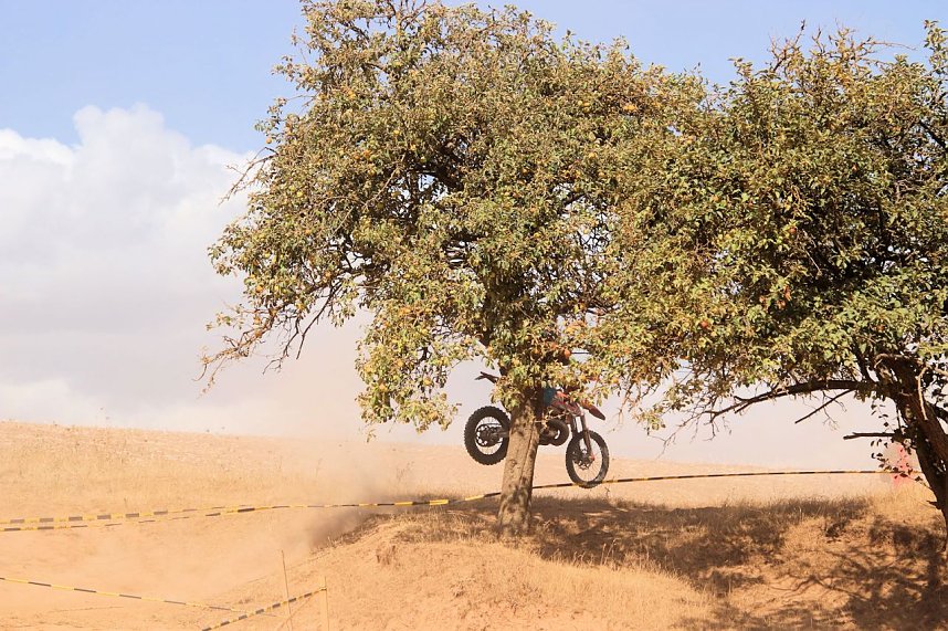 Fliegende Maschinen am Weinberg