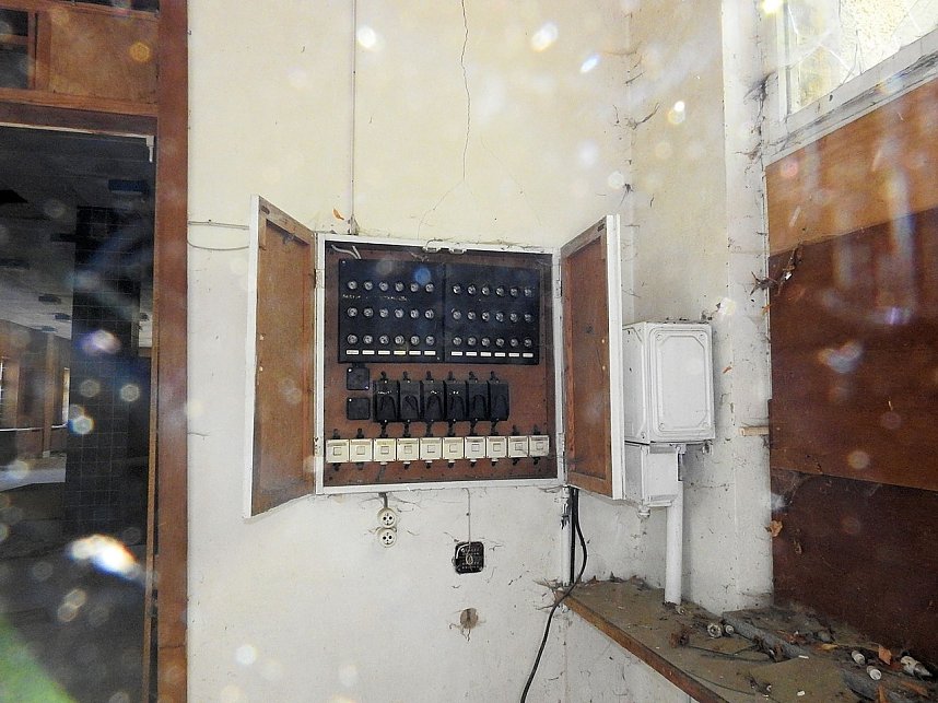 Erst Nazis, dann die SED