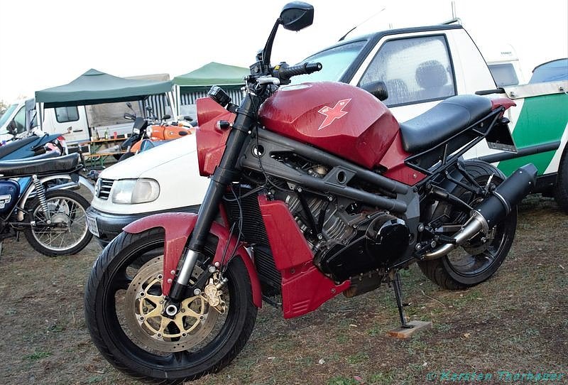 Emmenrausch am Stausee Kelbra