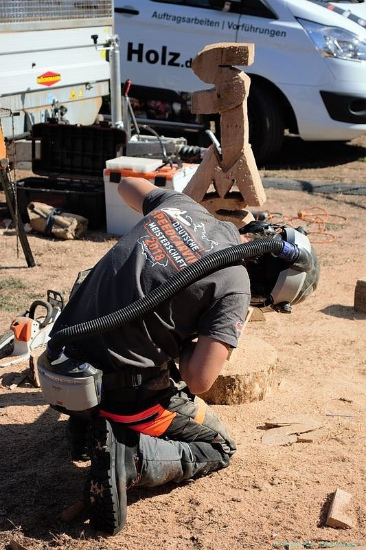 Emmenrausch am Stausee Kelbra