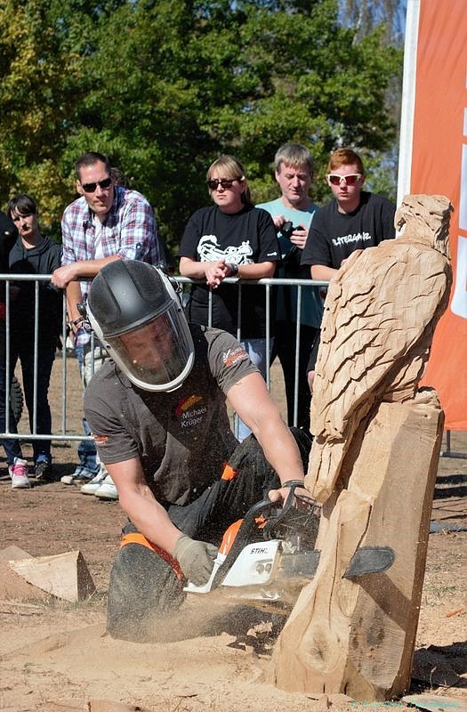 Emmenrausch am Stausee Kelbra