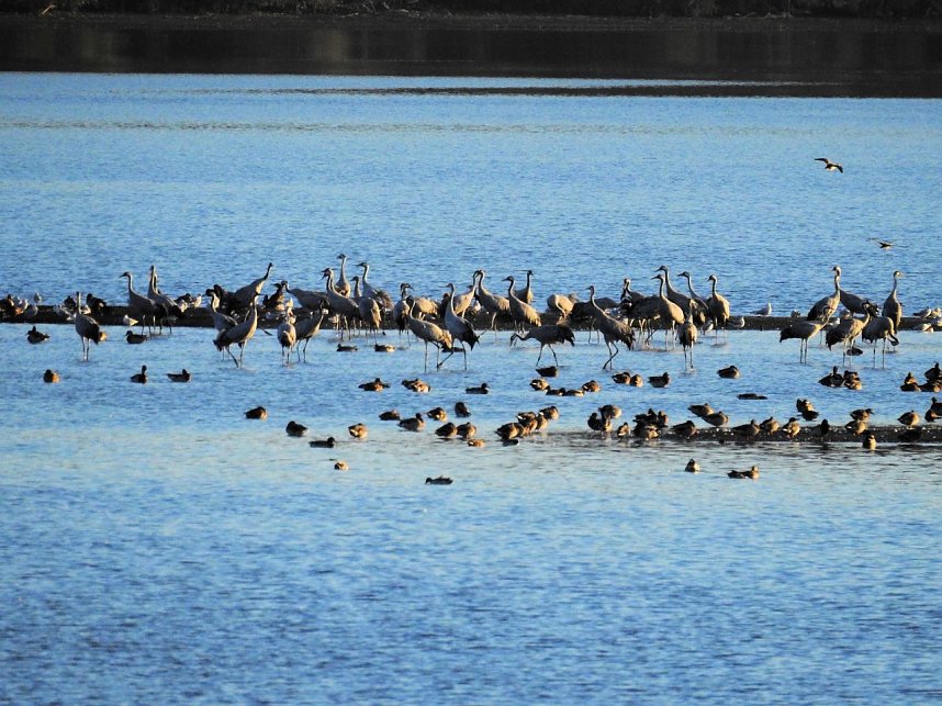 Die Vorboten flogen an