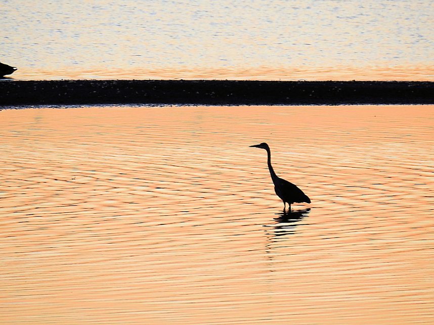 Die Vorboten flogen an